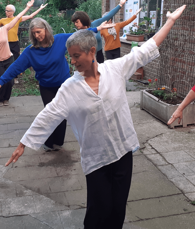 Corps et harmonie Cours stages Qi Gong Tai Chi chuan Bannière de Ma Wang Dui 800