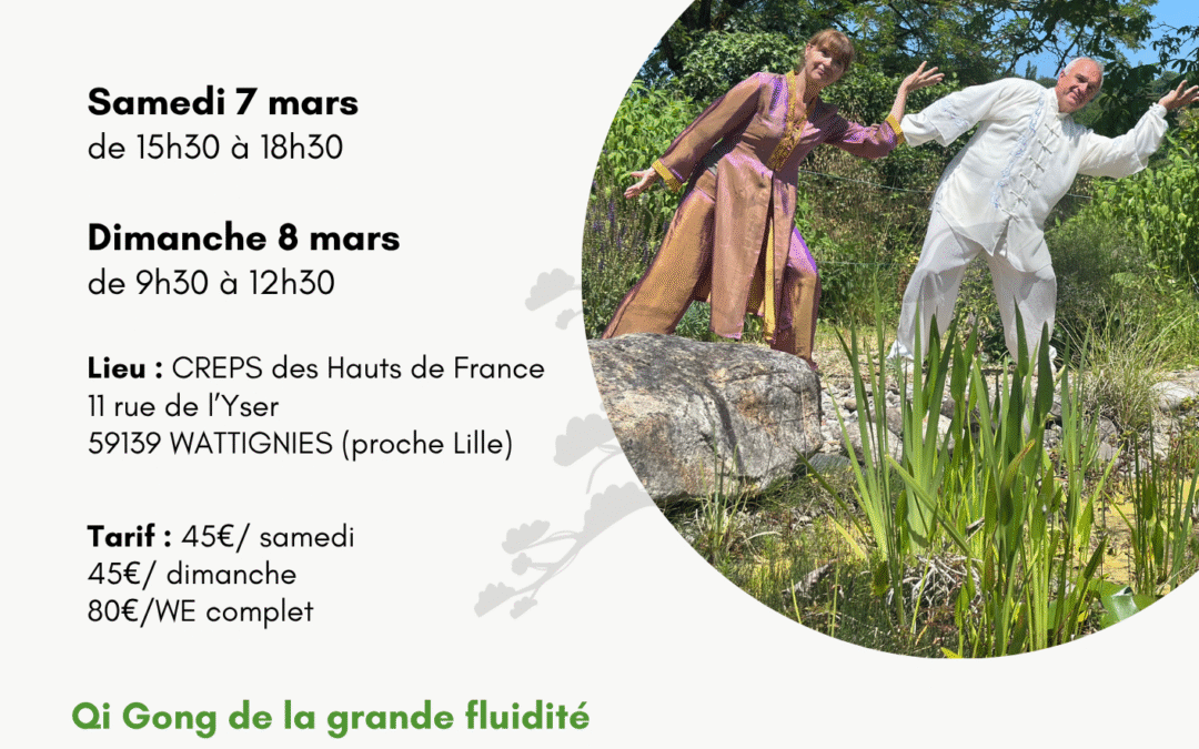 Qi Gong de la Grande fluidité Thierry Alibert Anick Hausman