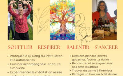 Stage d’été Amougies 2026 Nouvelle Version !