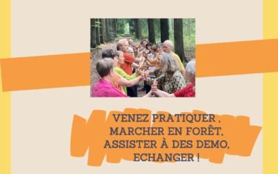 samedi 4 juillet 2026  Temps festif à Beloeil (Belgique)